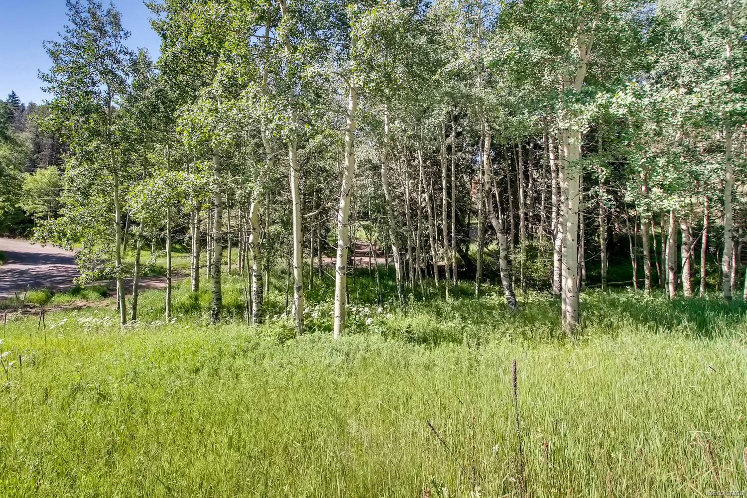 Property Photo:  6753 Snowshoe Trail  CO 80439 