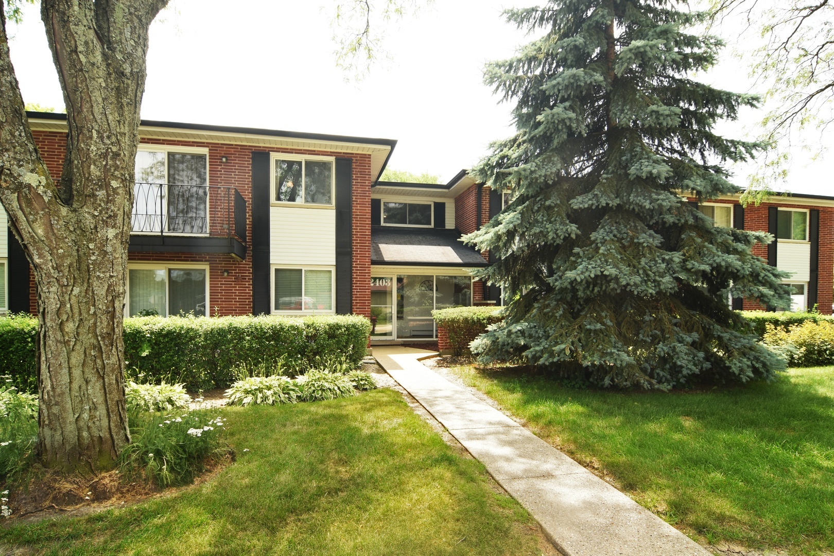 Property Photo:  2403 East Olive Street 2K  IL 60004 