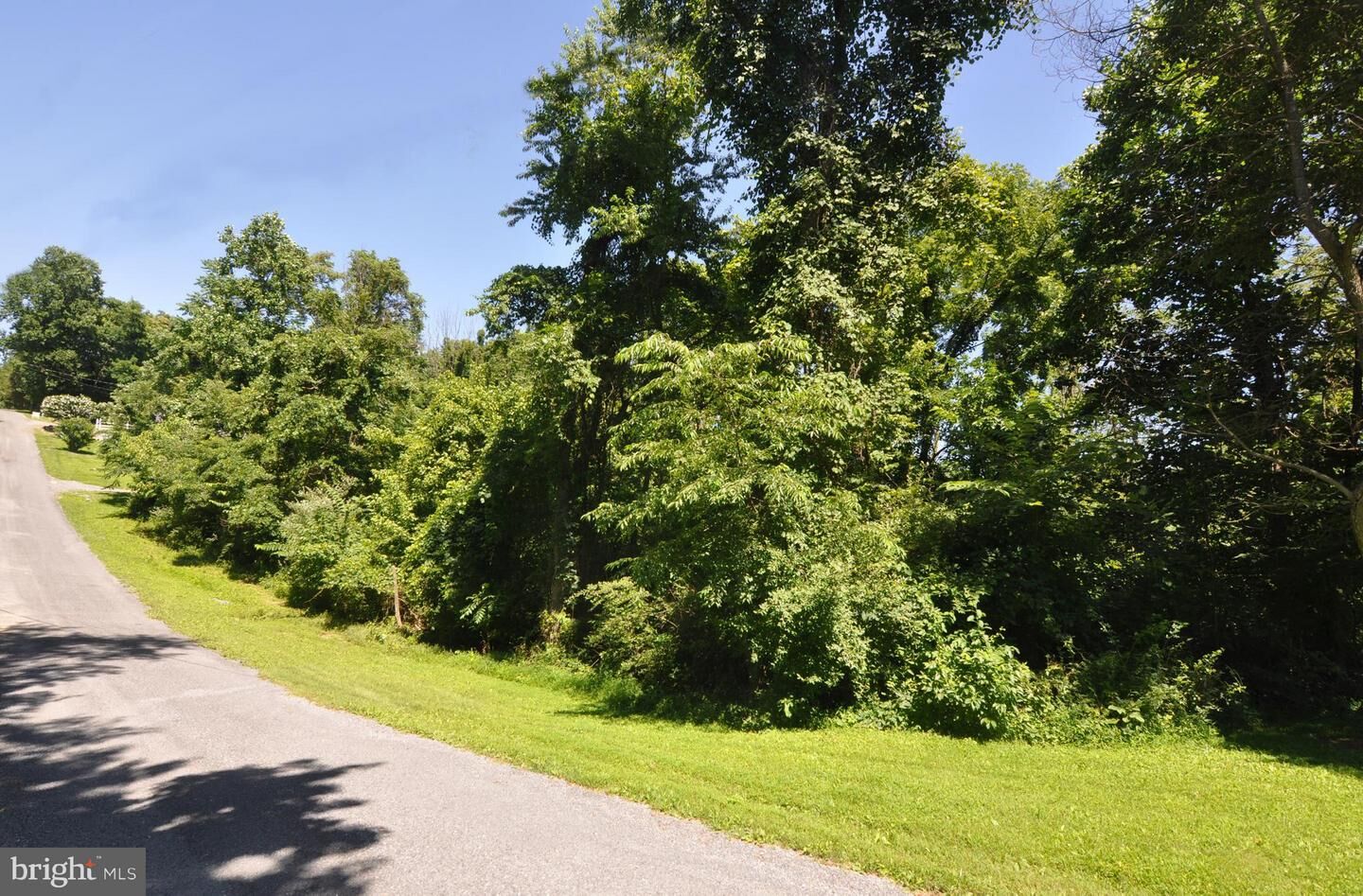 Property Photo:  Buffalo Trail L-10  VA 22602 