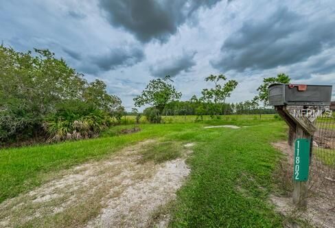 Property Photo: 11802 Blue Tick Drive FL 33556