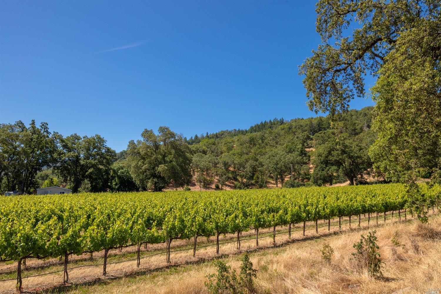 304 Bisby Avenue  Ukiah CA 95482 photo