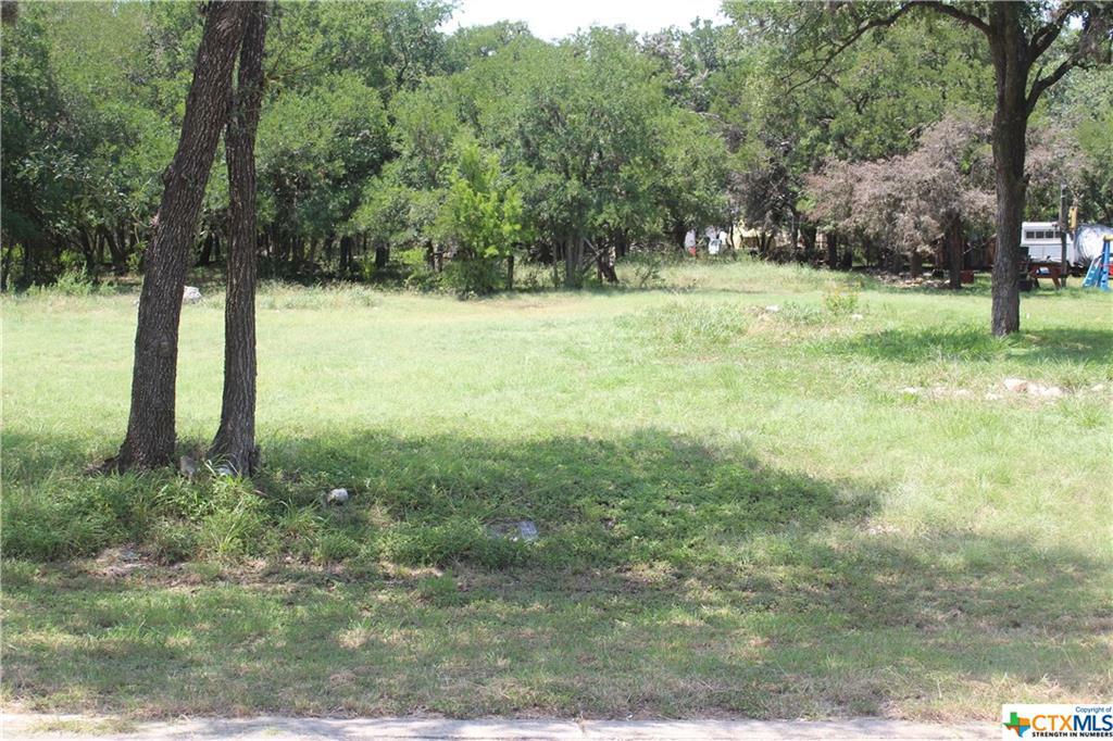 Property Photo:  1410 Delmar Street  TX 78666 