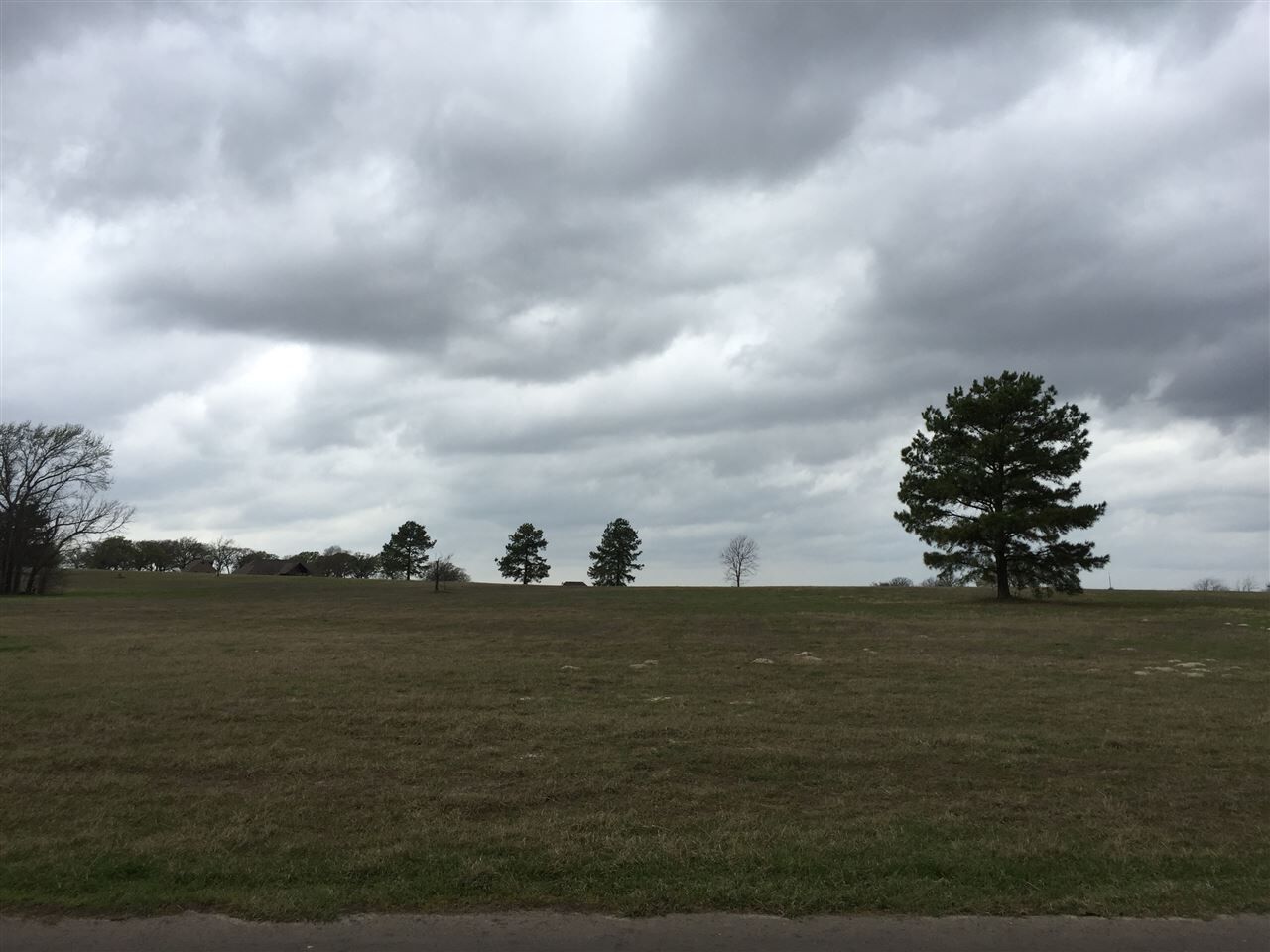 Property Photo:  15585 Cr 424 (Stallion Lake Ranch)  TX 75771 