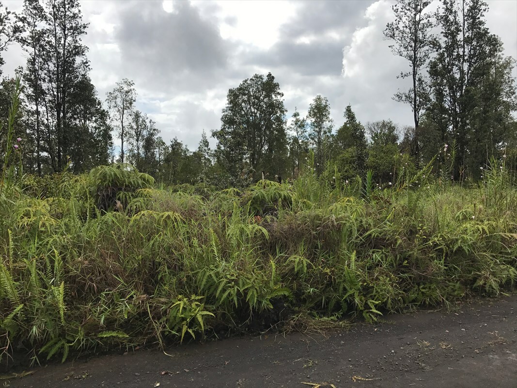 Property Photo:  Road 1 (Uhini Ana)  HI 96771 