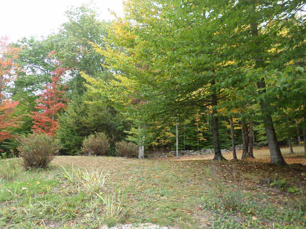 Property Photo:  63 Page Road  NH 03223 