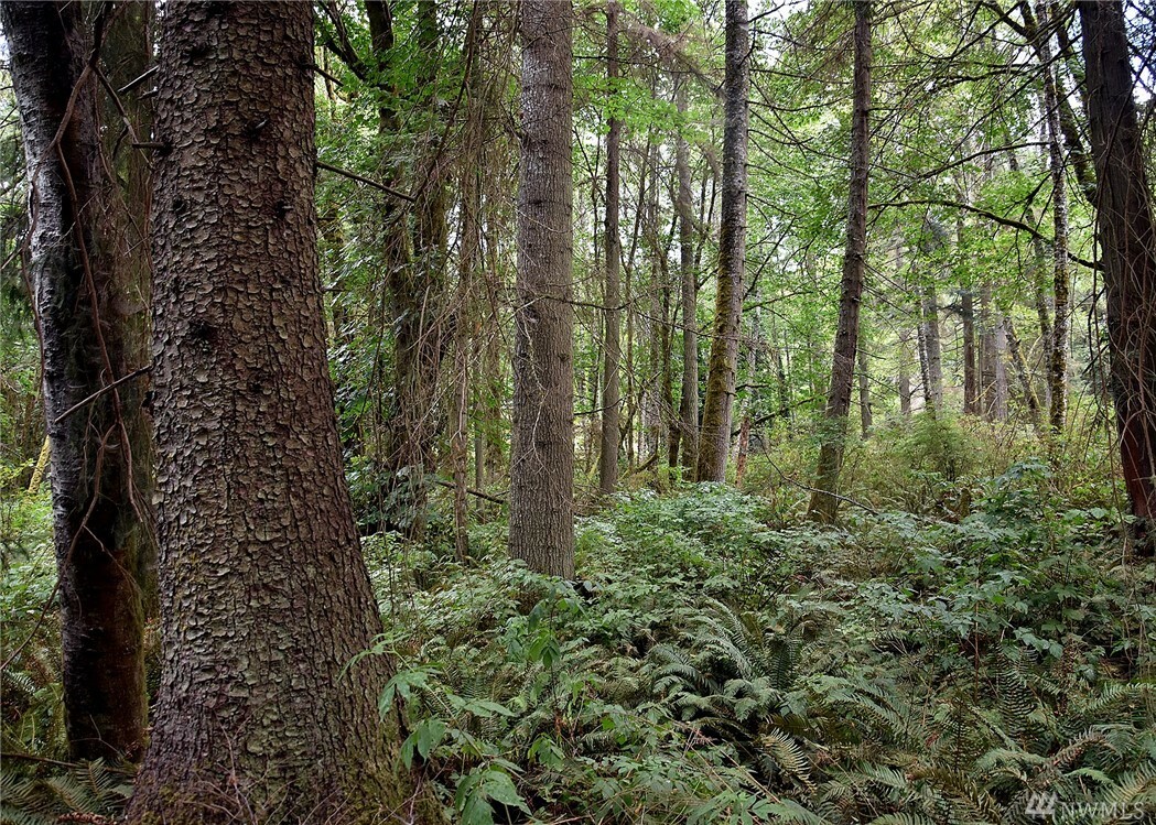 Property Photo: 0 Seatter Rd NE WA 98346