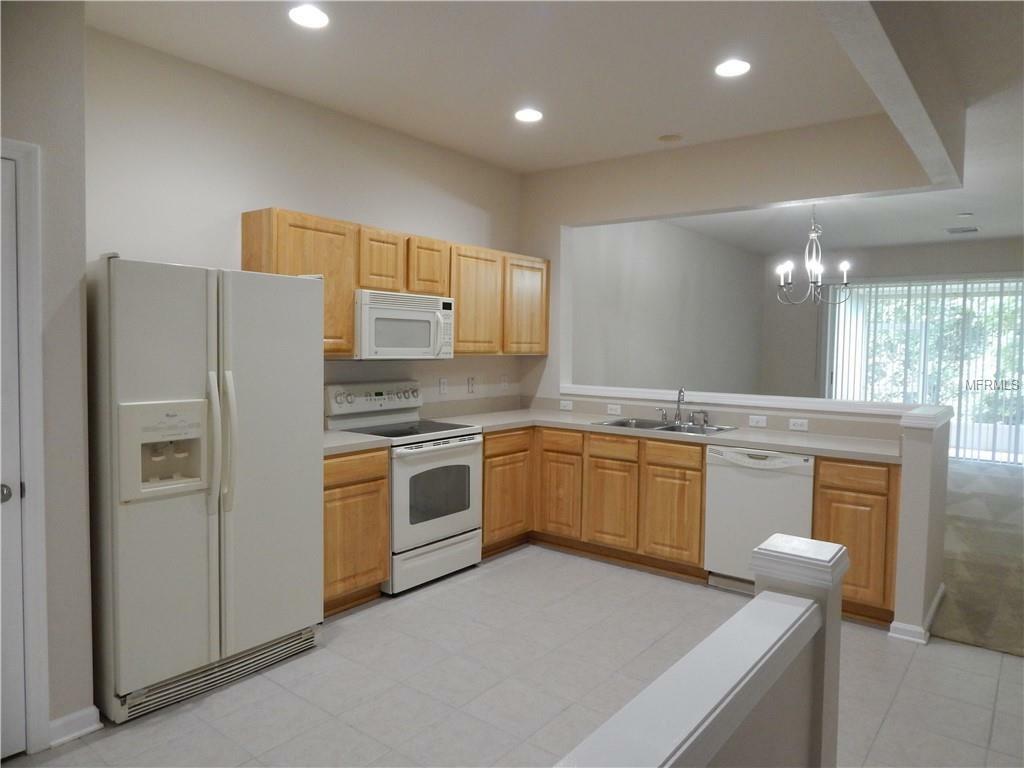 Property Photo: 26516 Chimney Spire Lane FL 33544