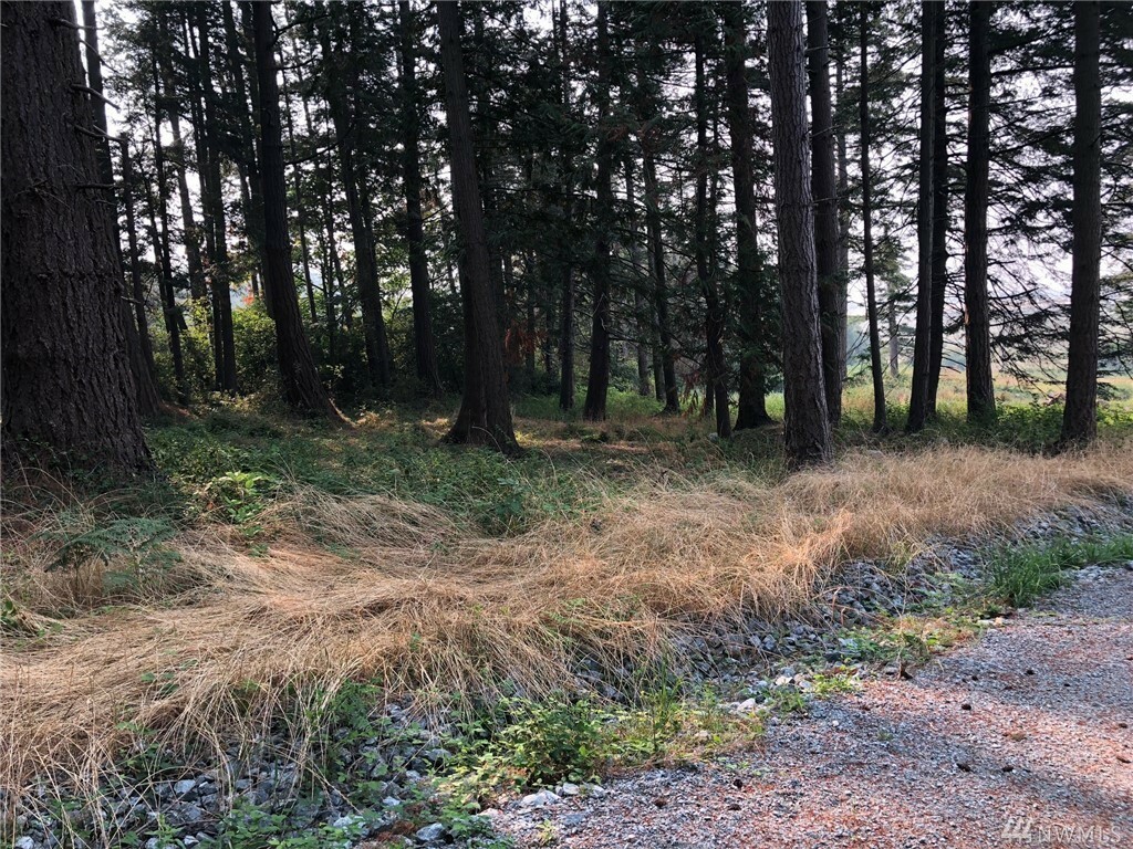 Property Photo: 4 Bayside Terrace Rd WA 98273