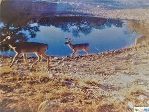 Property Photo:  10.16 Acres  Track 11 Tootsie Trail  TX 76542 