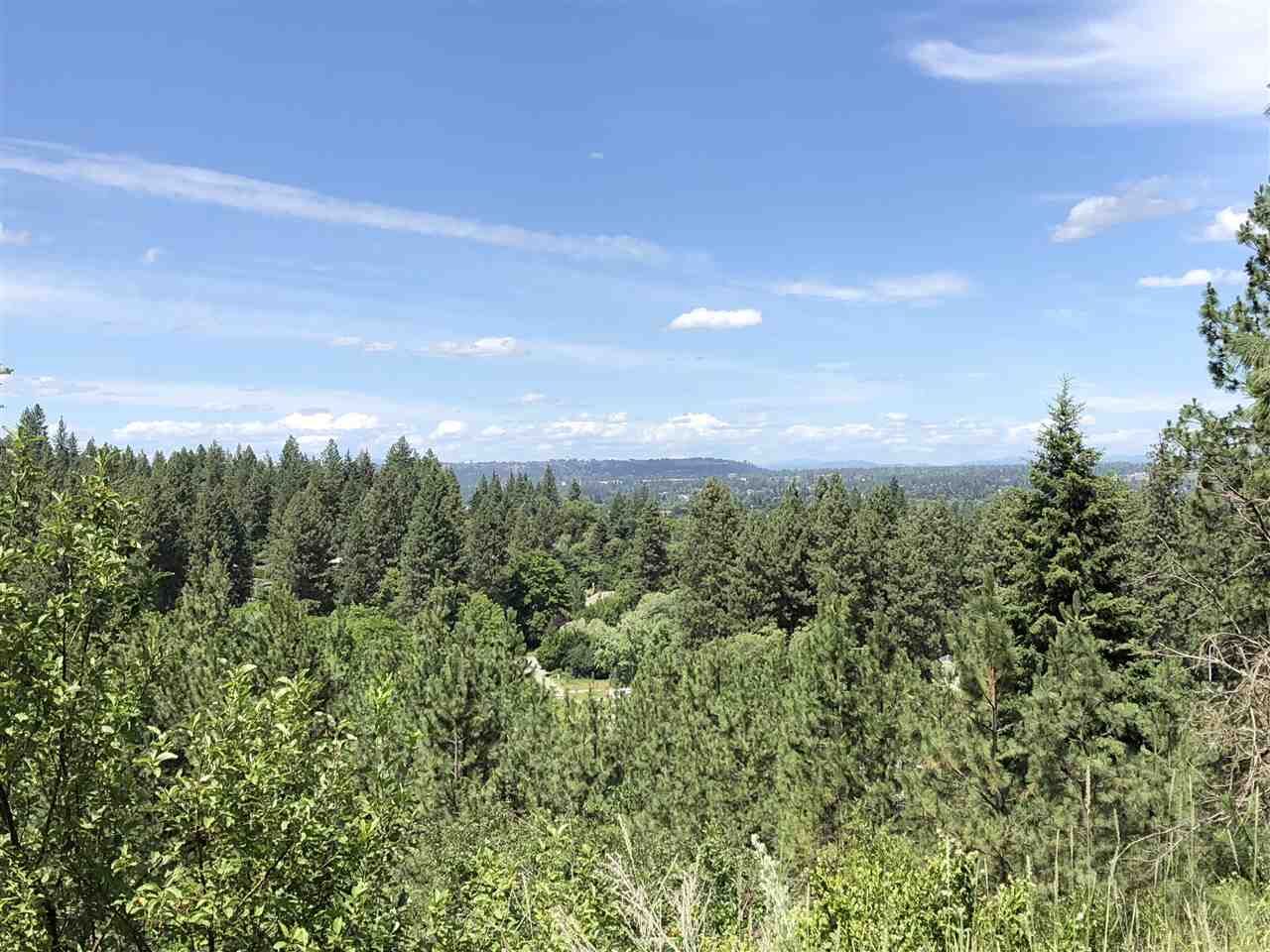 Property Photo: 0 Unknown Dr WA 99224