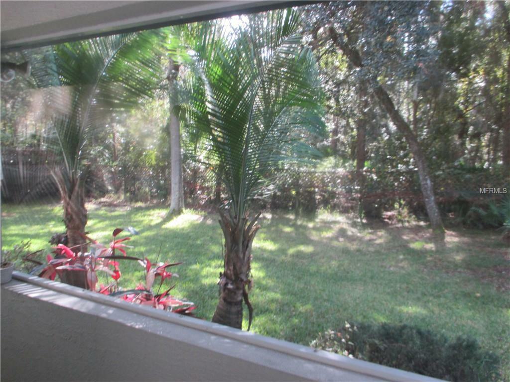 Property Photo:  1014 Pine Tree Drive  FL 32726 