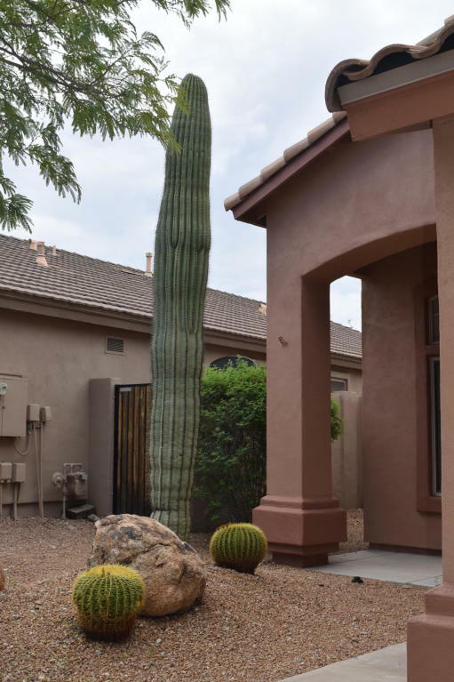 Property Photo:  10429 E Texas Sage Lane  AZ 85255 