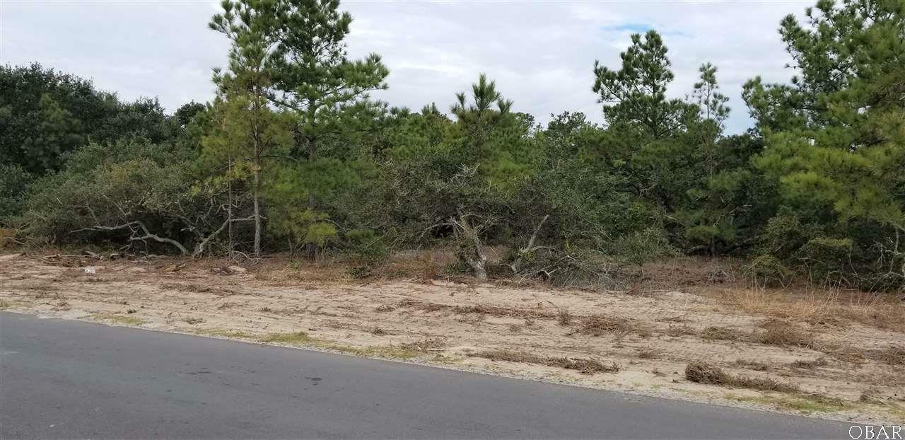 Property Photo:  0 W Palmetto Street Lot 6  NC 27948 