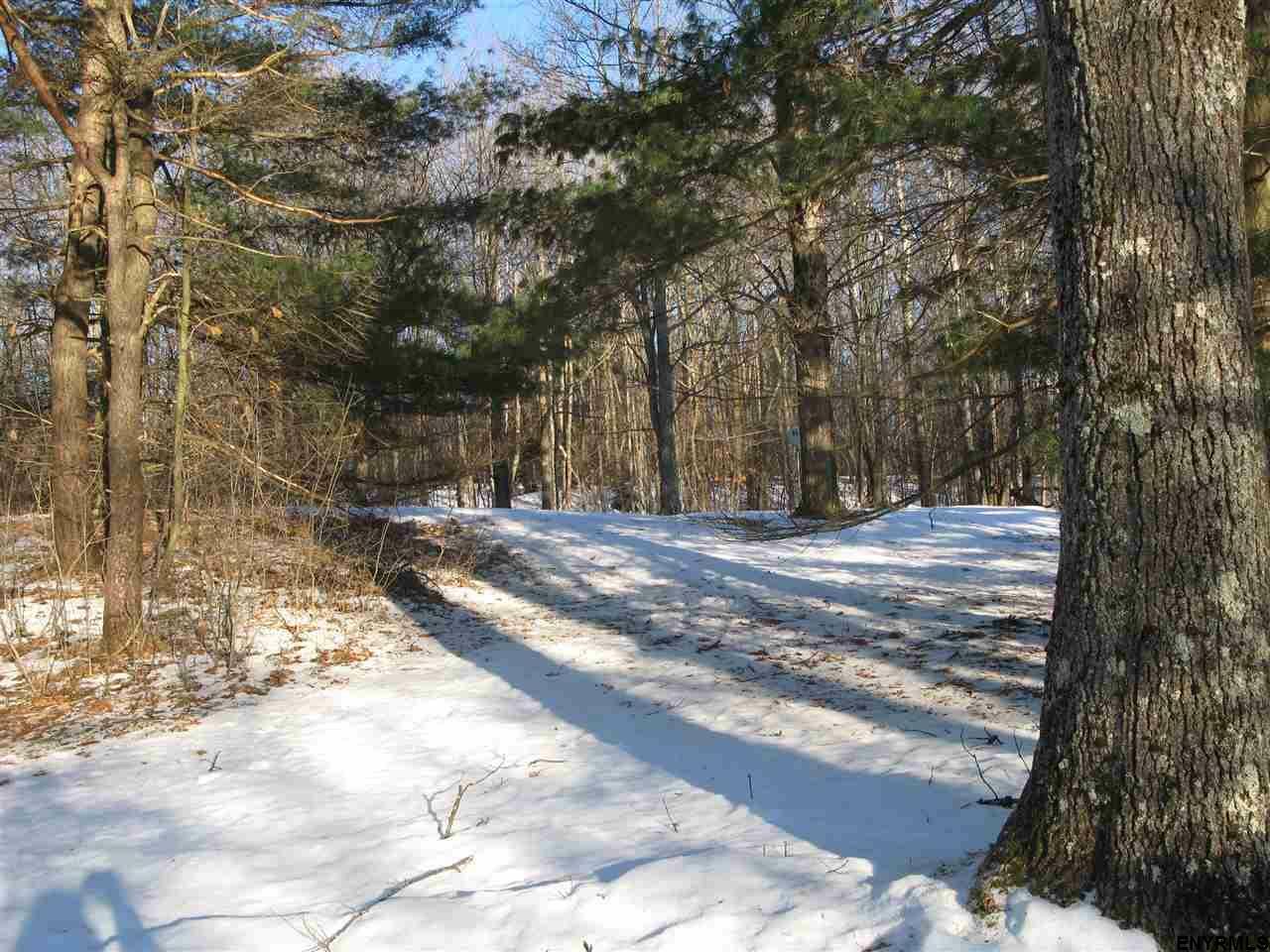 Property Photo:  0 Summit Lake Road  NY 12175 