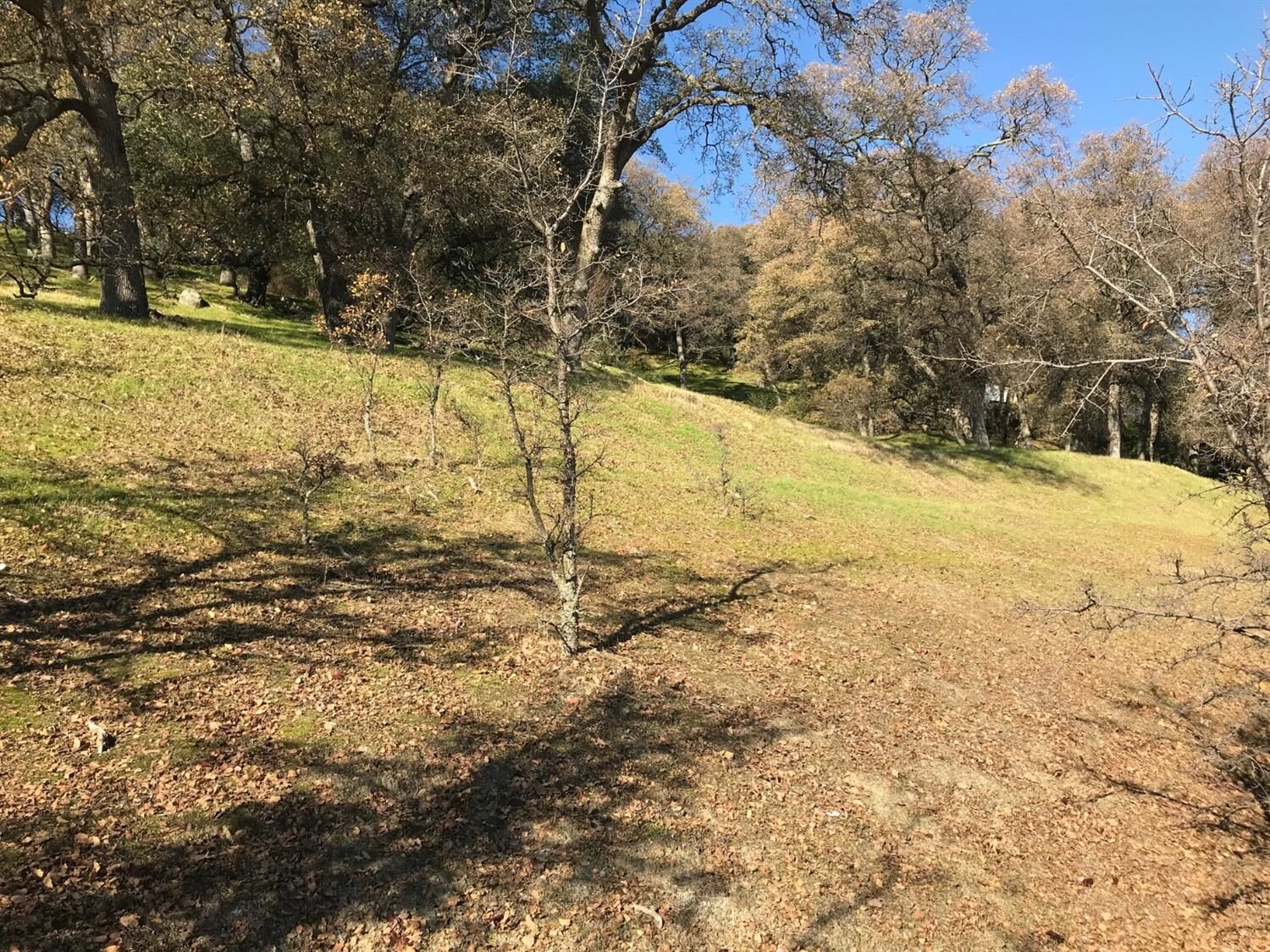 Property Photo:  3932 Rawhide Road  CA 95677 
