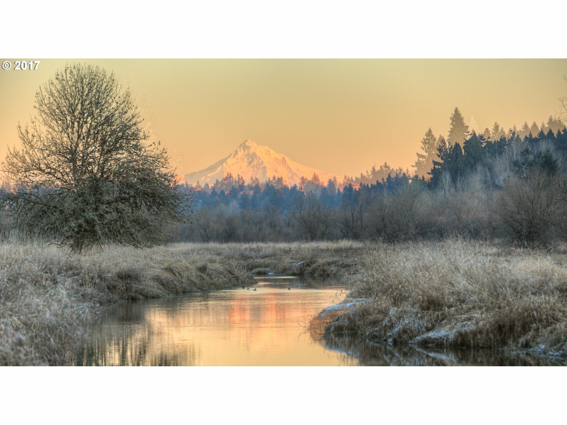 Property Photo: 13806 NW 35th Ct Lot 4 WA 98685