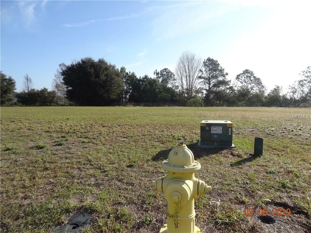 Property Photo:  2010 Sloans Outlook Drive  FL 34736 