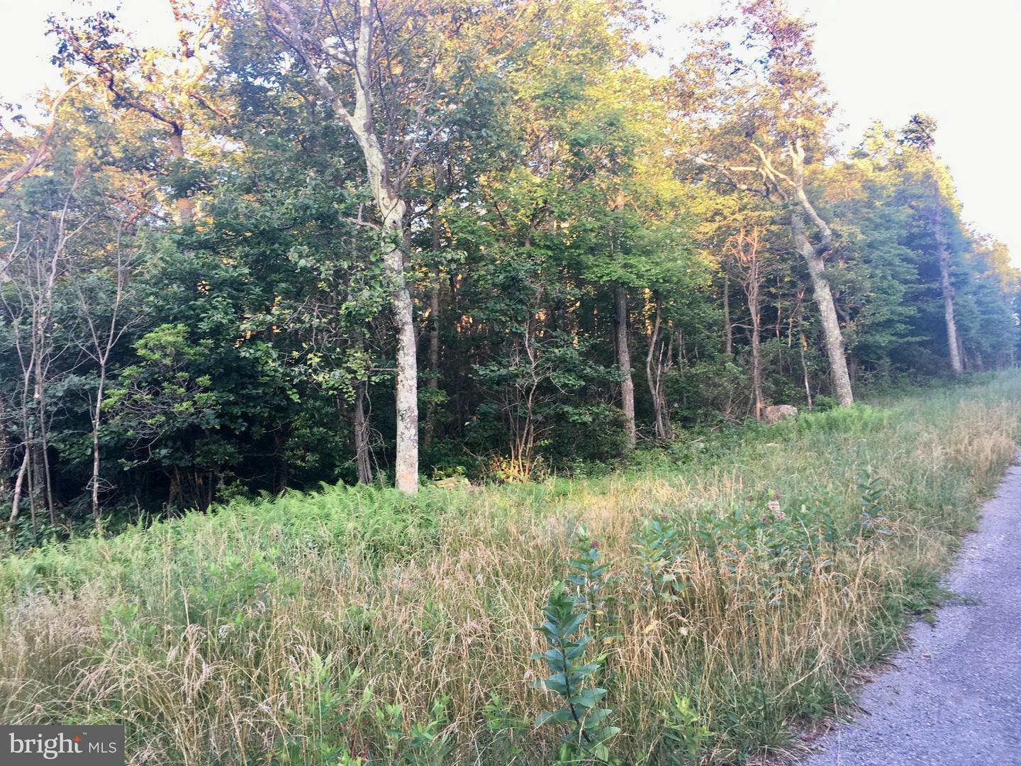 Property Photo:  Lot 197 Farwood Trail  VA 22602 