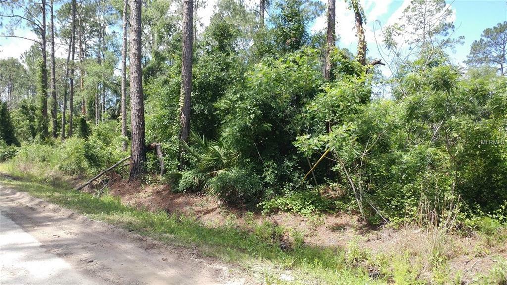 Property Photo: 9th Avenue FL 32724