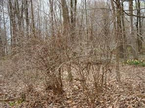 Property Photo: 000 Sherri Drive PA 16424