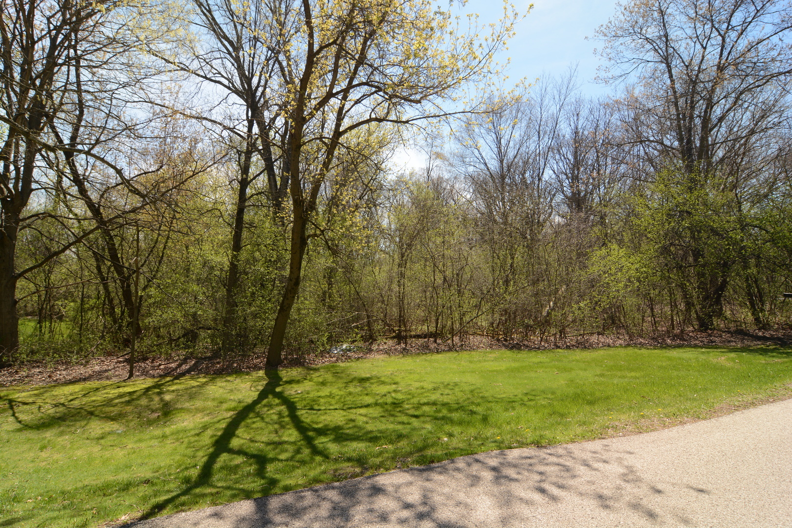 Property Photo:  21665 W Boschome Drive  IL 60047 