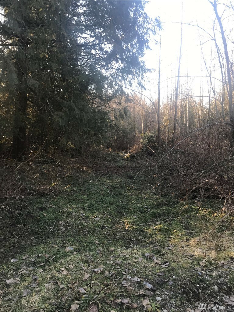 Property Photo:  5728 Hoogdal Branch Rd  WA 98284 