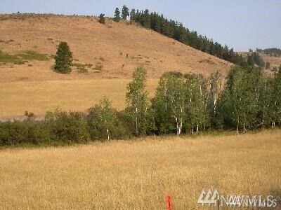 Property Photo: 102 Low Road WA 98922
