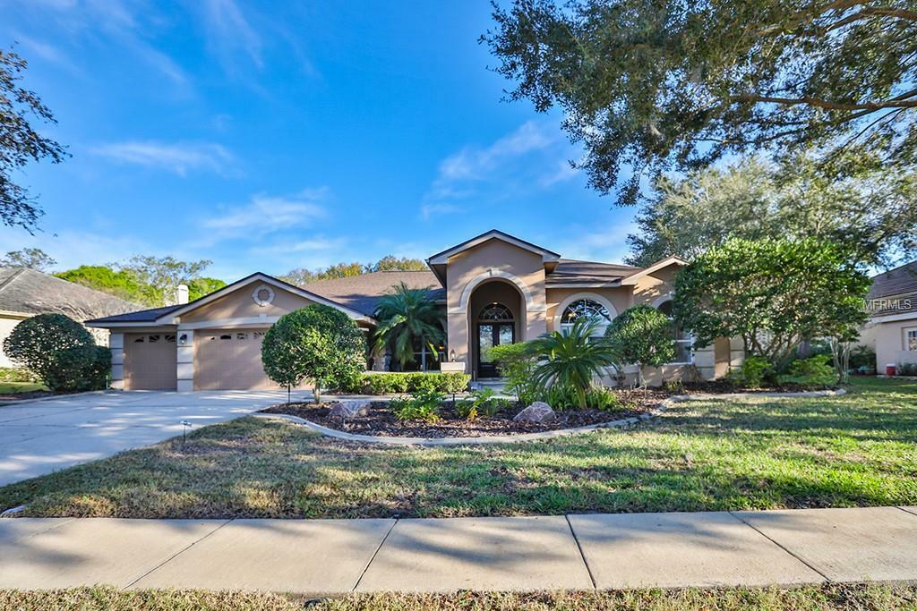 Property Photo:  3913 Arlington Drive  FL 34685 