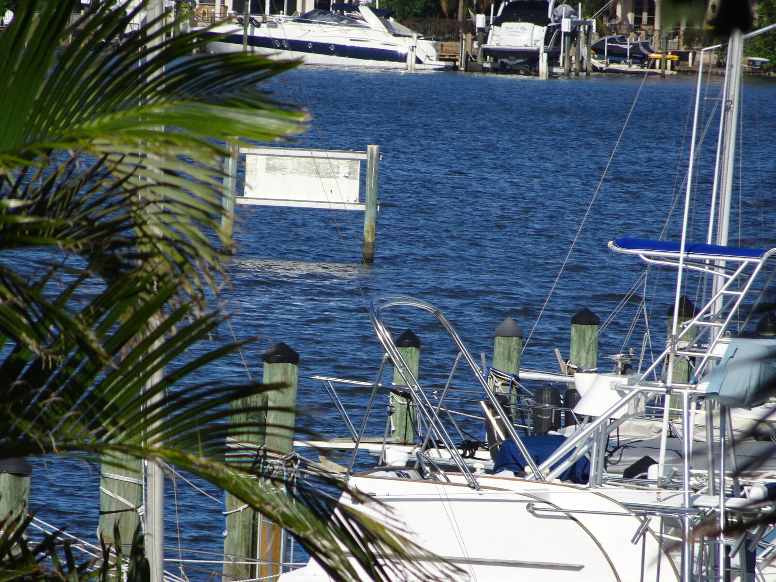 Property Photo:  806 E Windward Way 205  FL 33462