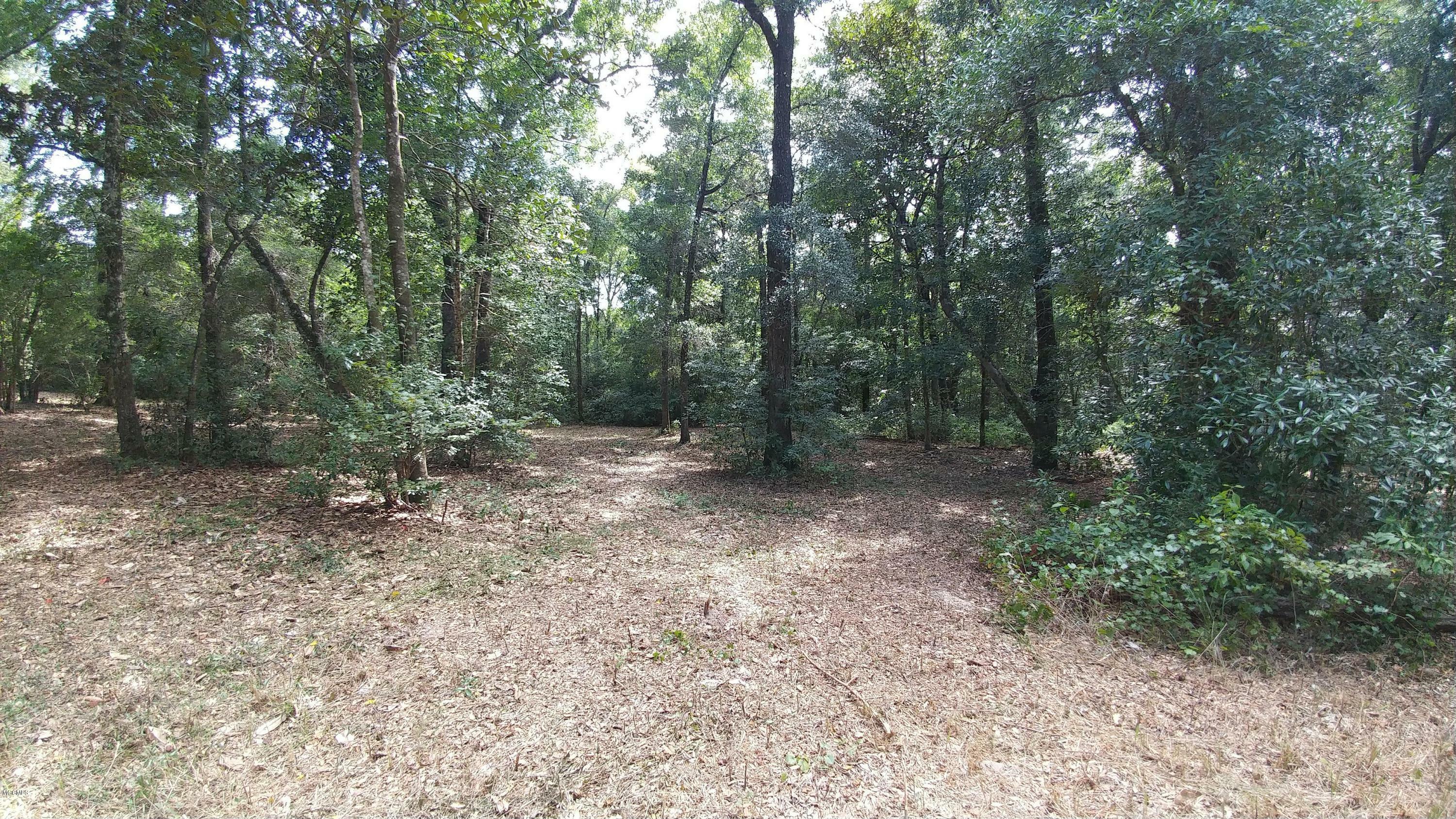 Property Photo: 00 River Bluffs MS 39565