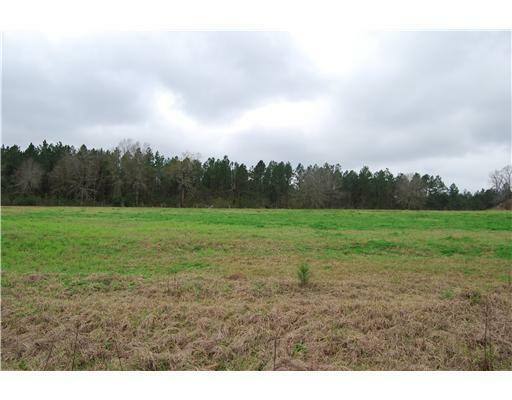 Property Photo:  Lot 3 Oak Drive  MS 39573 