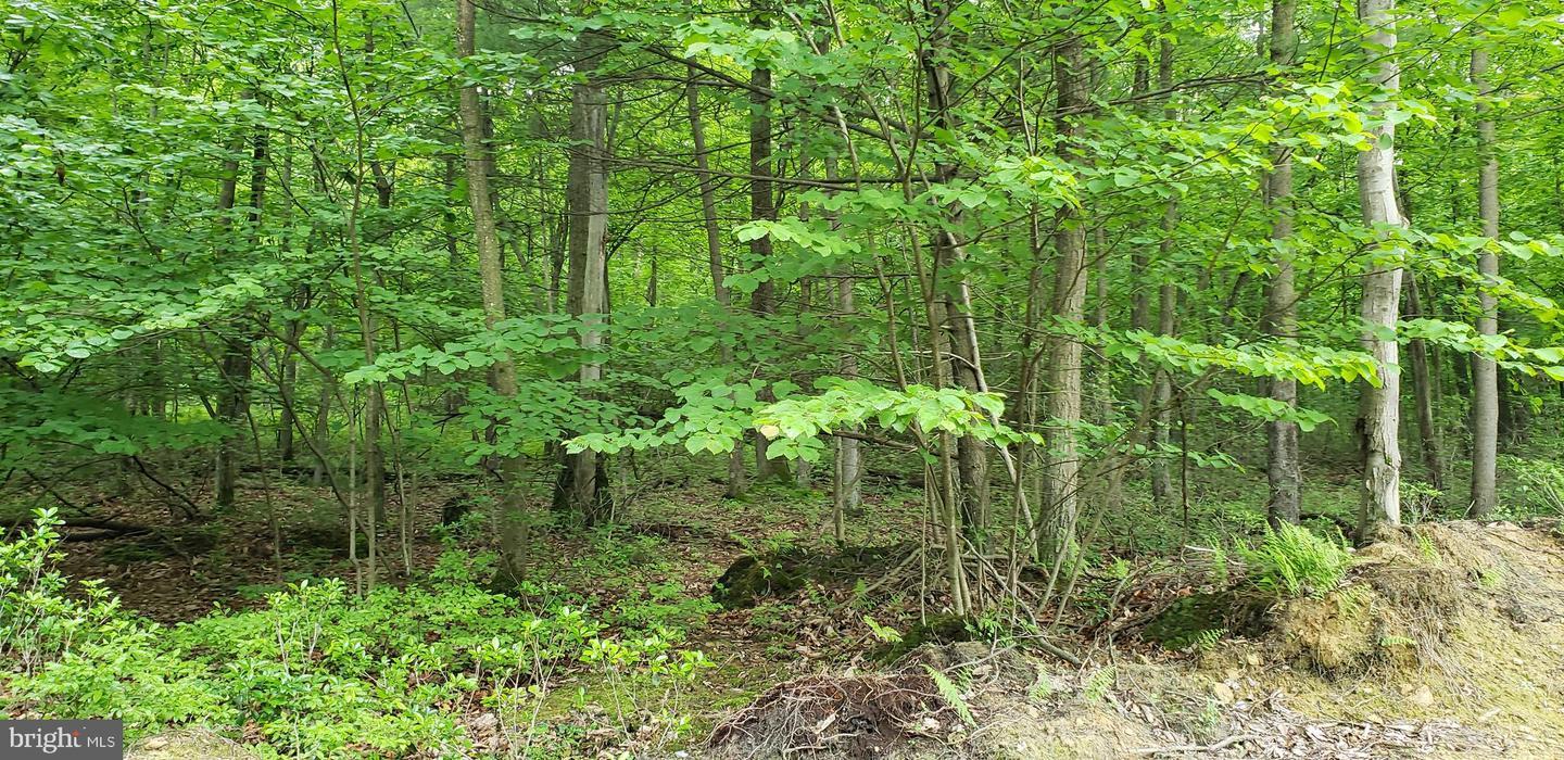 Property Photo: 0 Chain Saw Road PA 17019