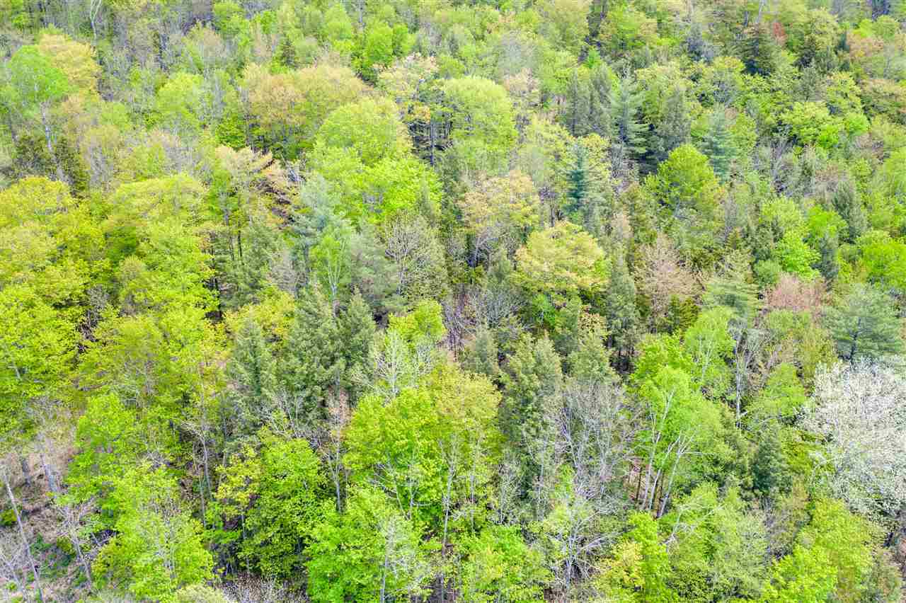 Property Photo:  199 Old Gould Farm Road 4  VT 05657 