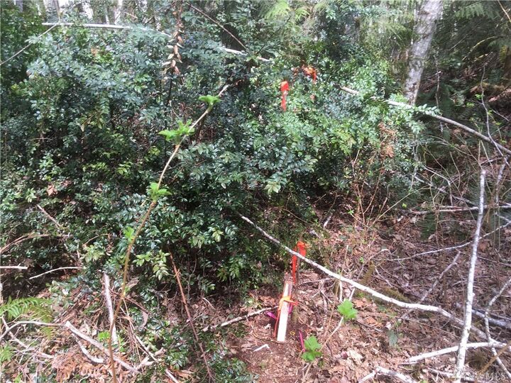 1123 E Sunset Hill Rd  Shelton WA 98584 photo