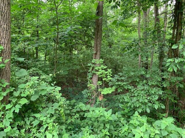 Property Photo: Lot 1 And 2 Kuebler Road IN 47720