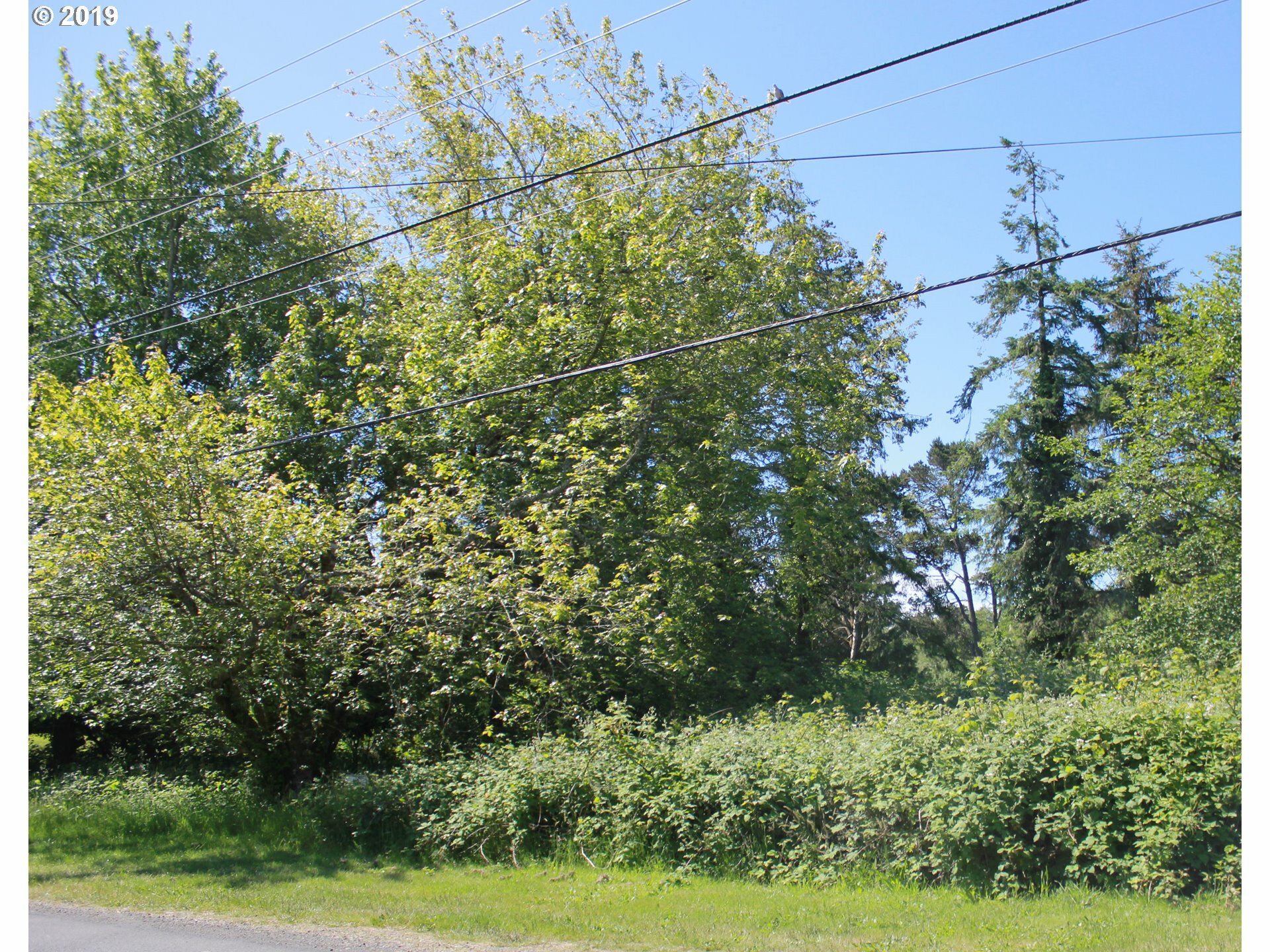 Property Photo: Ladd OR 97121