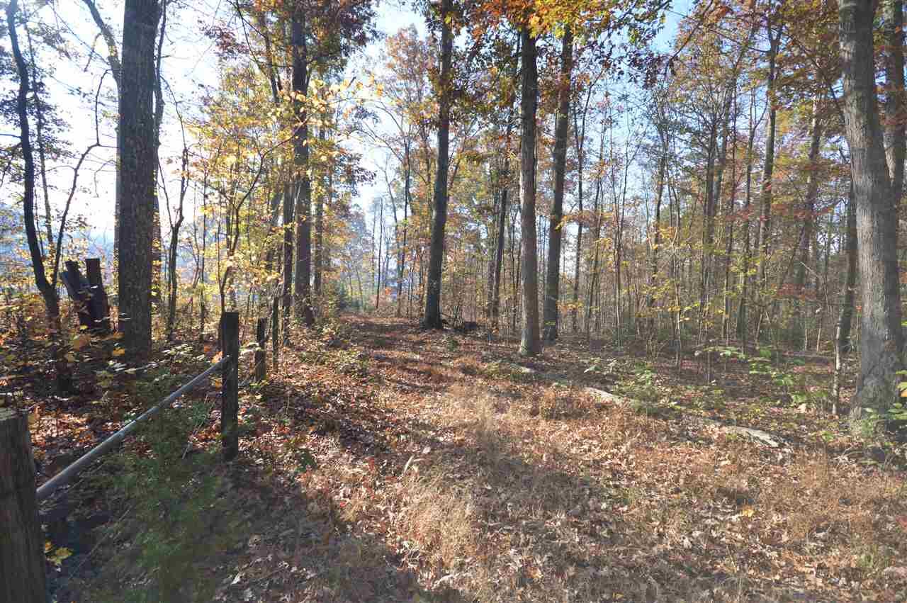 Property Photo:  12.75 Welsh Run Rd  VA 22968 