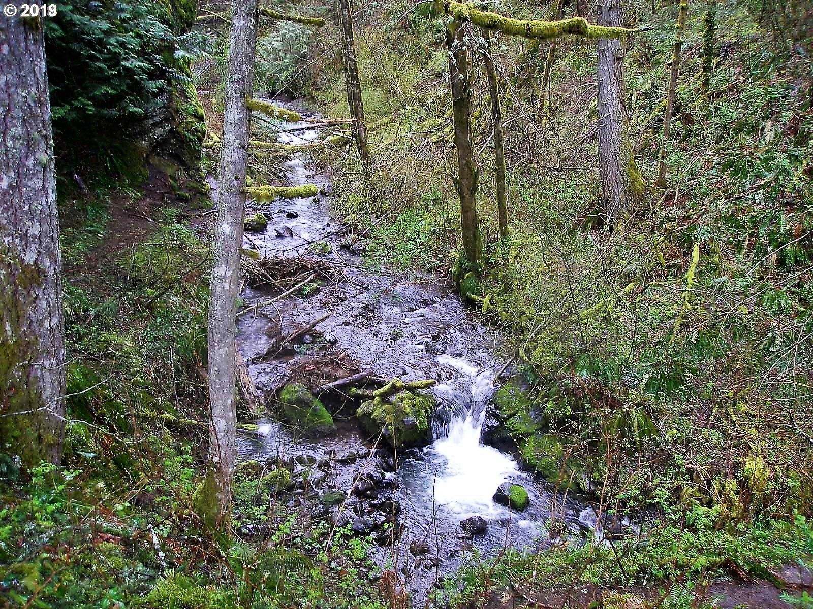 Property Photo: Sweeneys Corner WA 98648