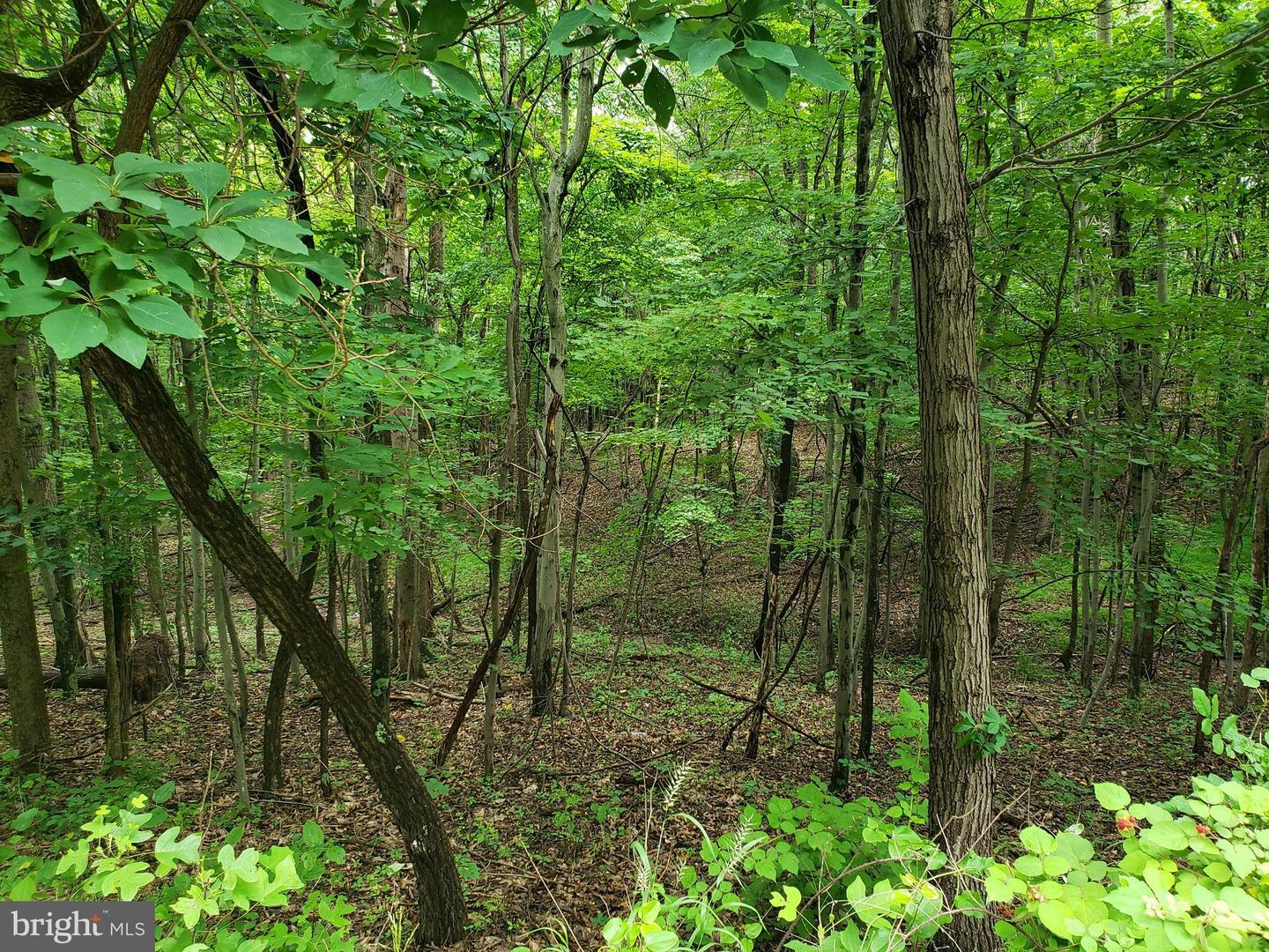 Property Photo:  Lot 18 Gaither Road  WV 25422 