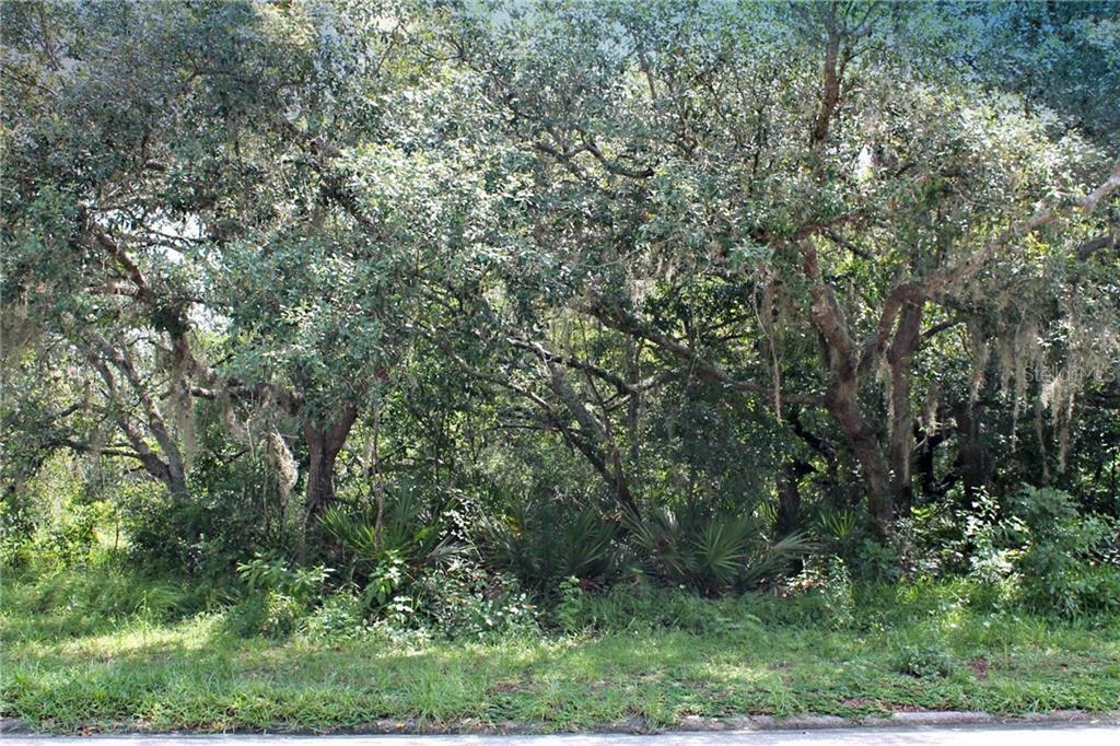 Property Photo: 1030 Old Cutler Road FL 33898