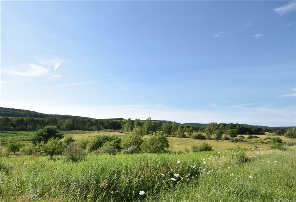 Property Photo: 0 Route 242 Road NY 14101