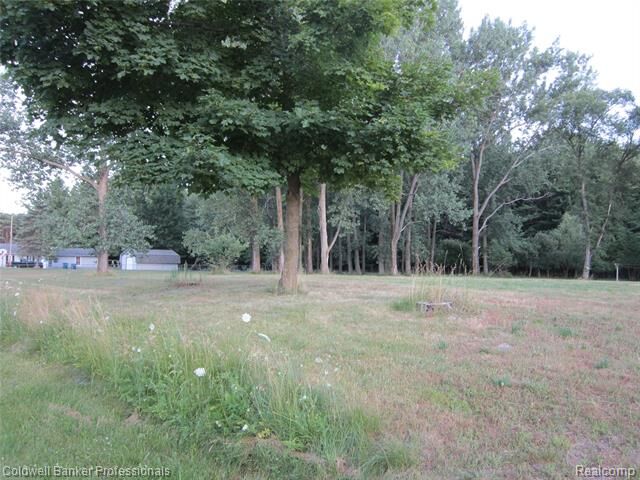 1766 E Kitchen Road  Fraser Twp MI 48650 photo