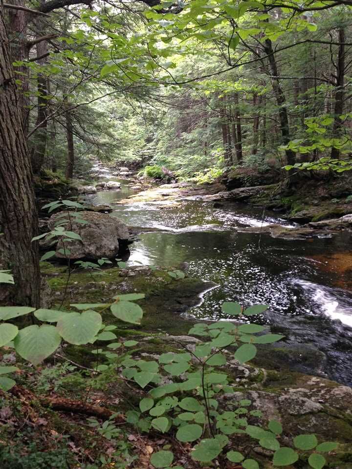 Property Photo:  340 Spring Hill Road  NH 03458 