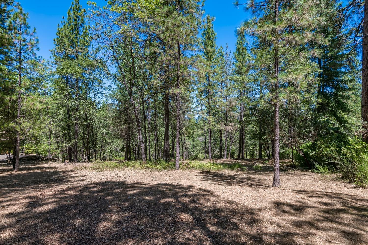 Property Photo: 1378 Shady Tree Lane CA 95722