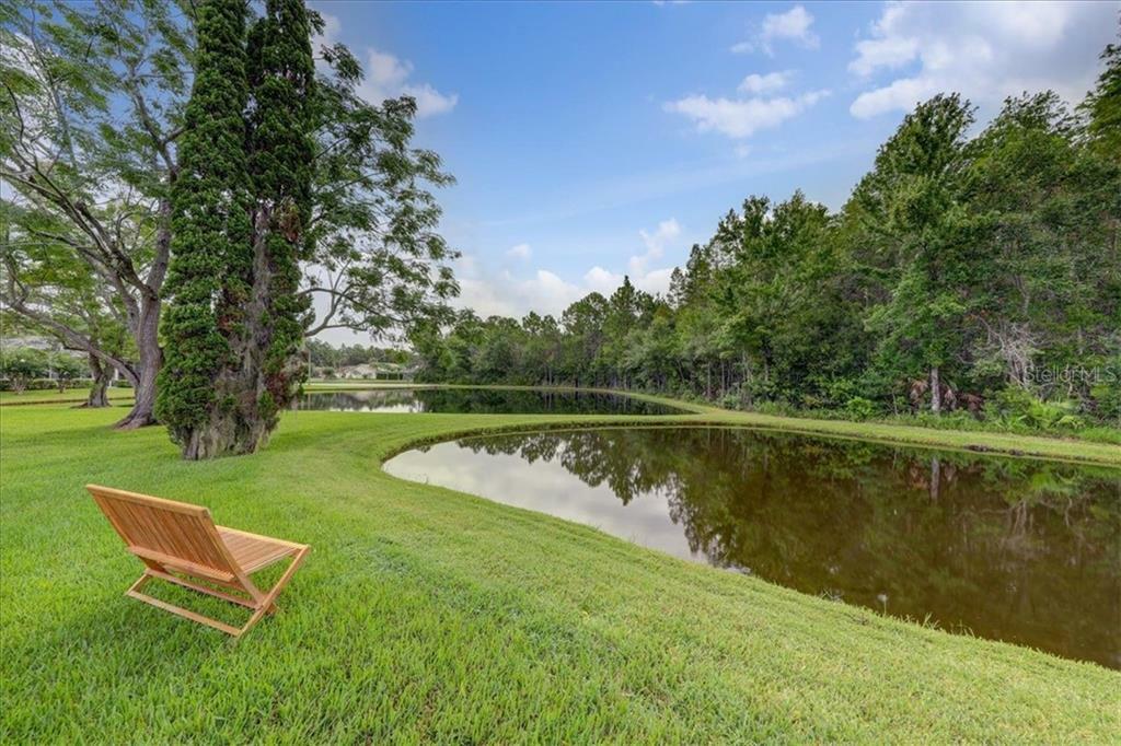 Property Photo:  1430 Davenport Drive  FL 34655 