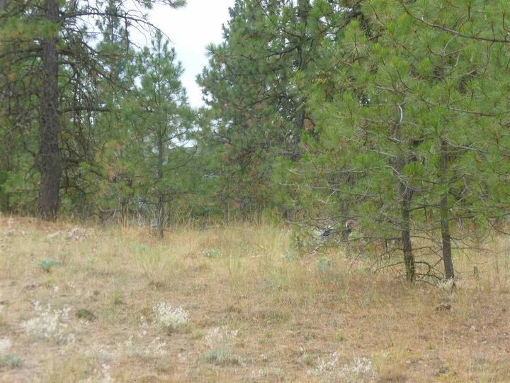 3001 W 18th Ave  Spokane WA 99224-5521 photo