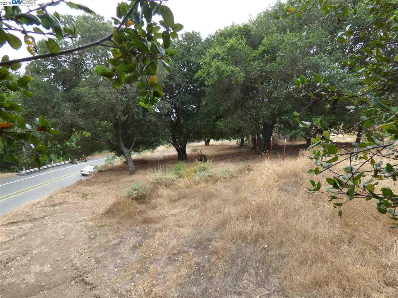 Property Photo:  1298 Niles Canyon Rd  CA 94536 