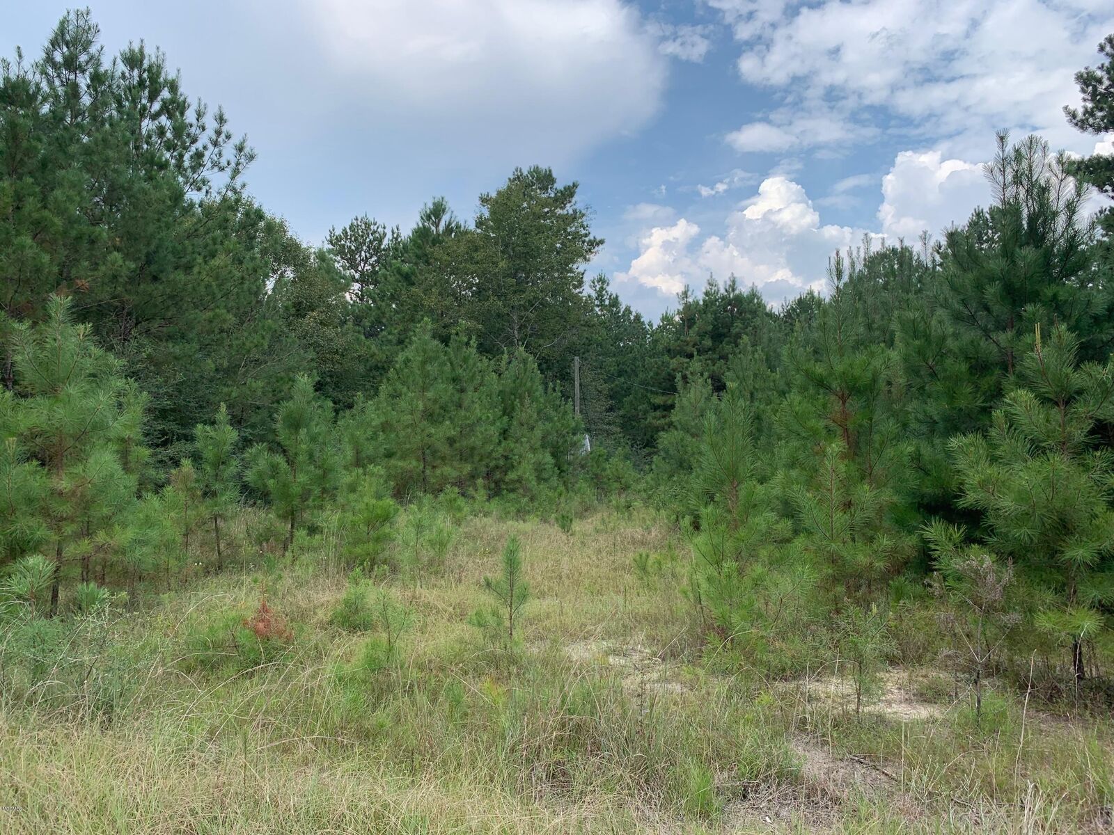 Property Photo:  0 St Angelo Lane  MS 39470 