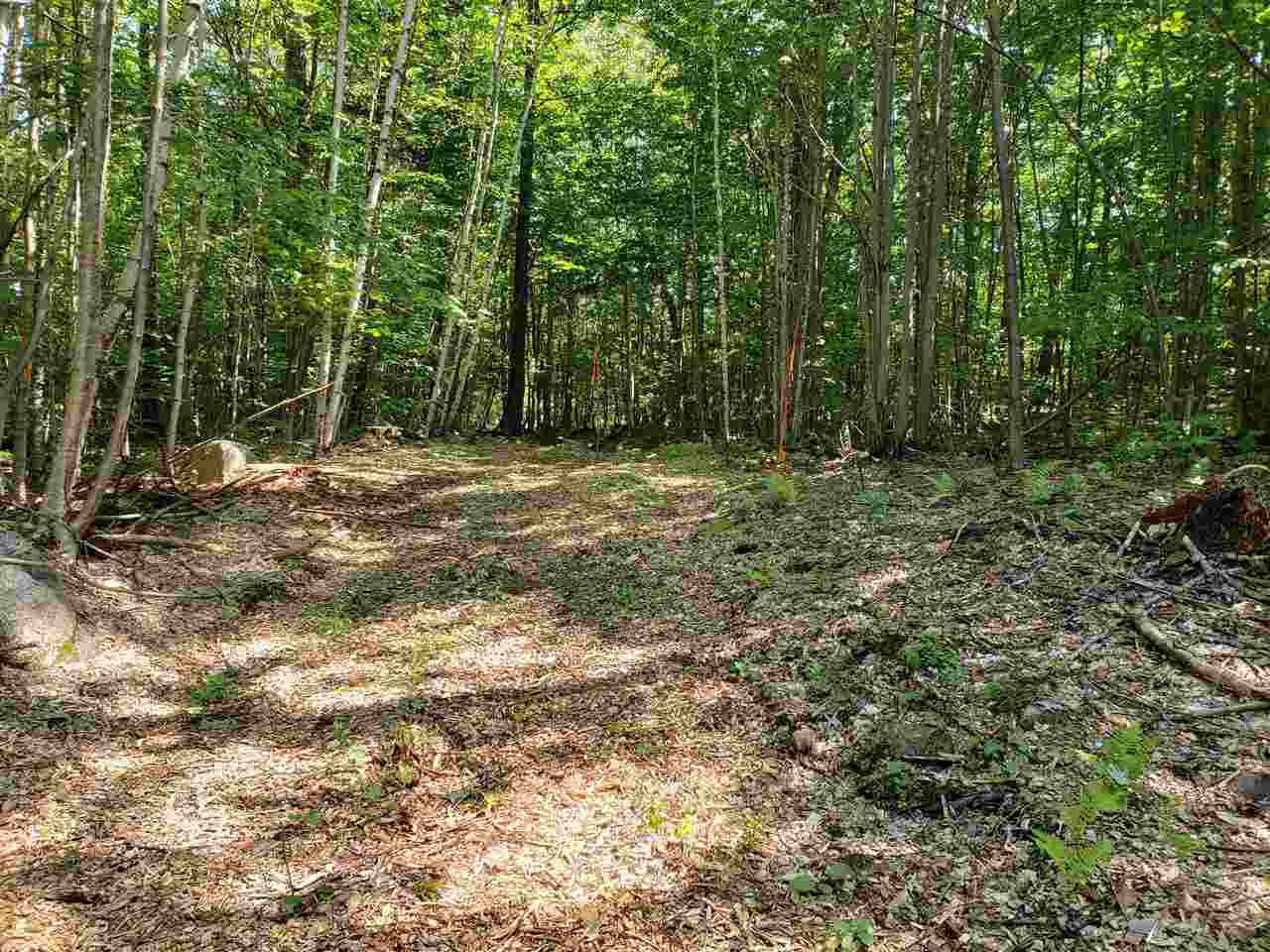 Property Photo: R20 15 H Squam Lake Road NH 03227