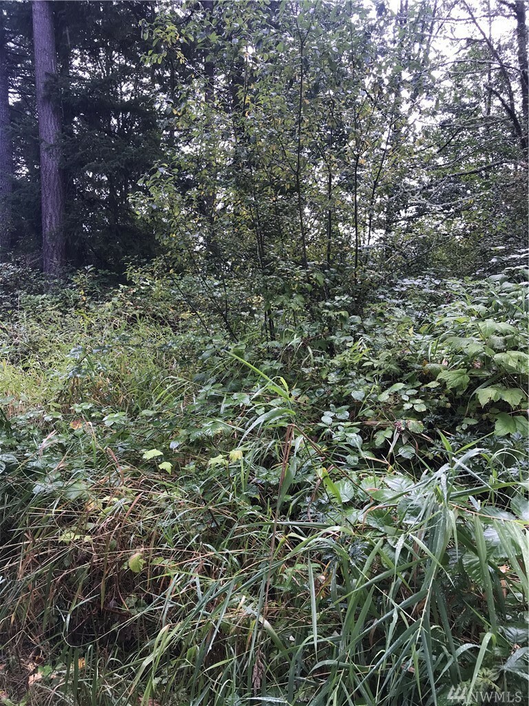 Property Photo: 37908 112th Ave E WA 98328
